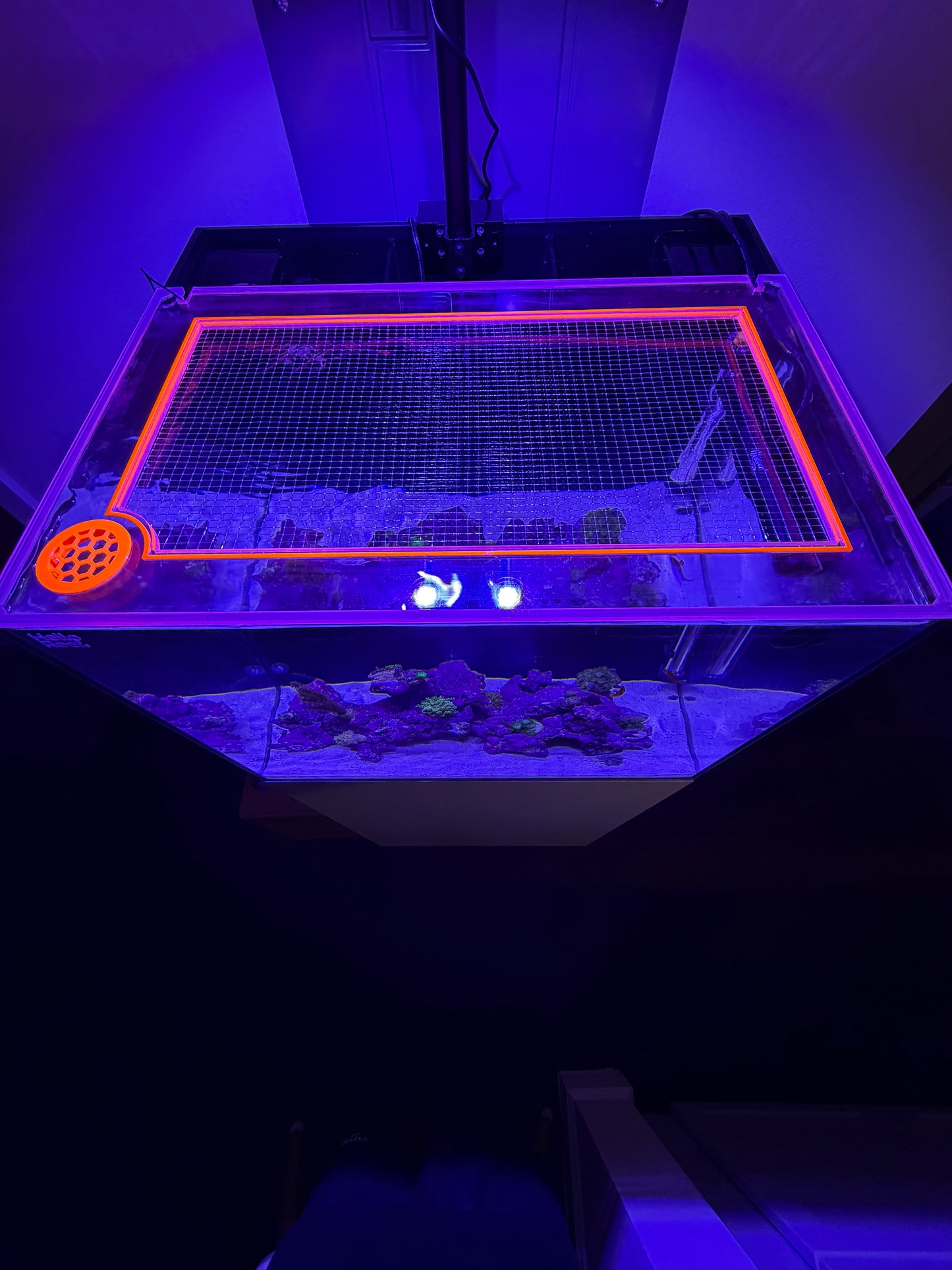 HelloReef 33g Lid