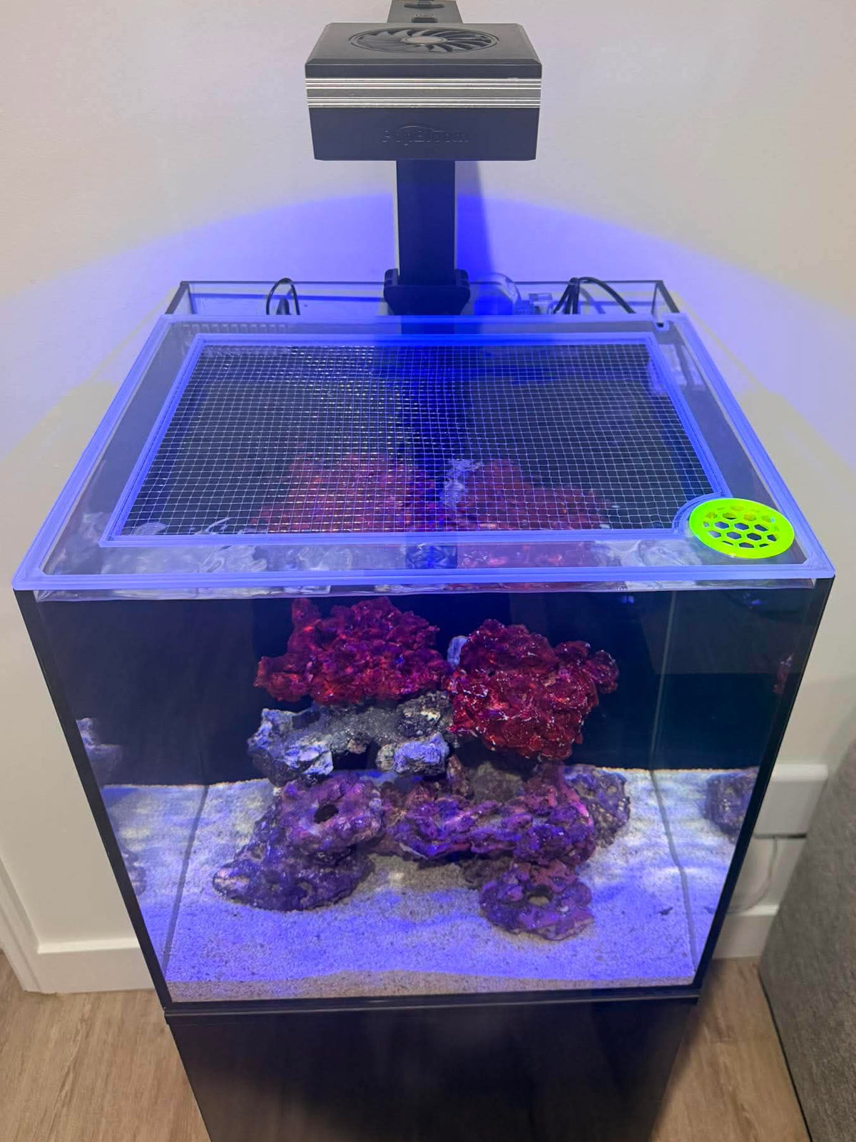 Aquatop Recife ECO 24g Lid