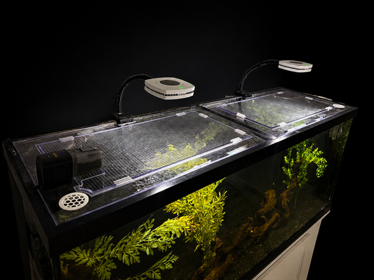 FRAGTIDE Custom Evaporation Reduction Lid Insert