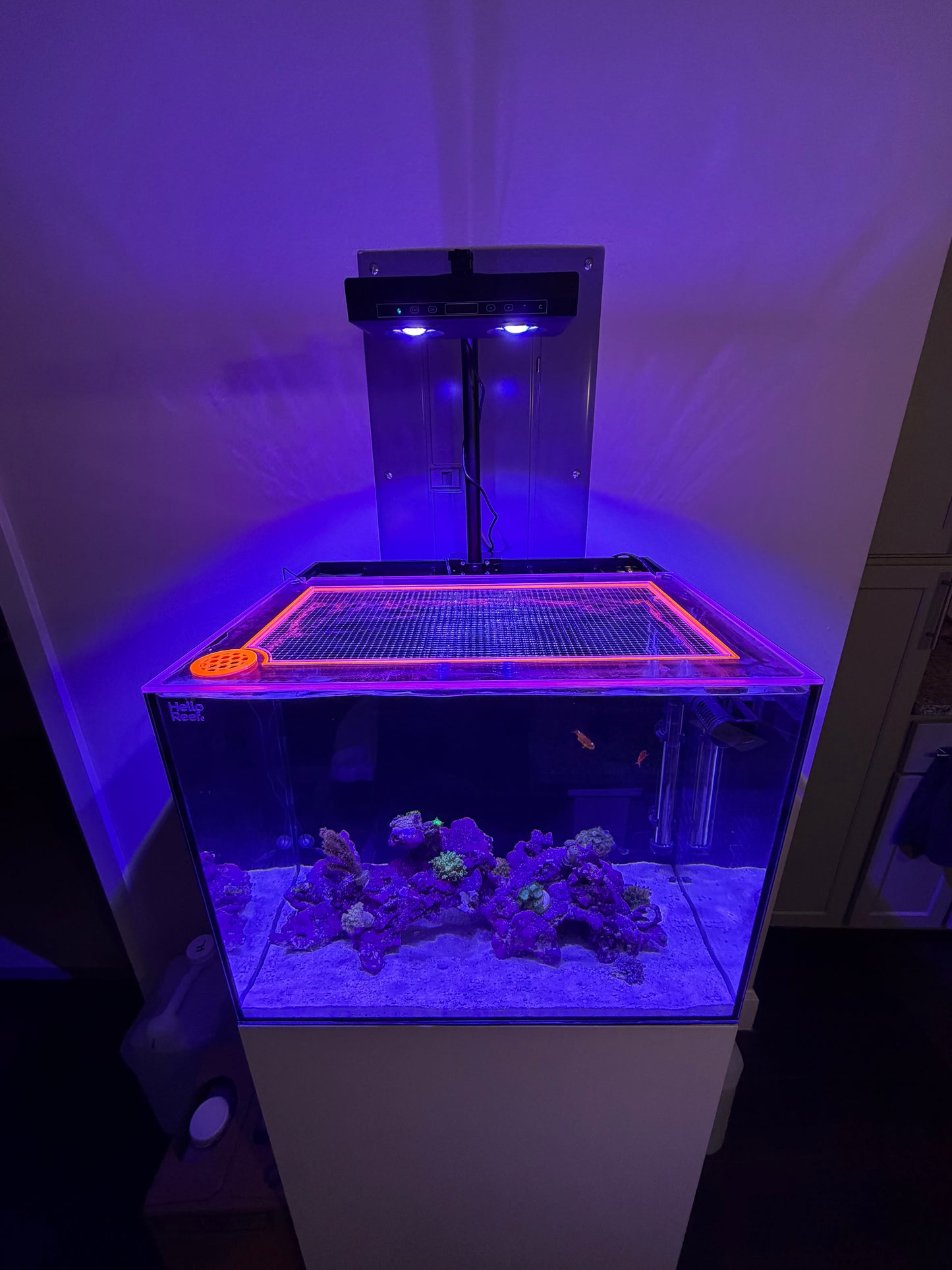 HelloReef 33g Lid