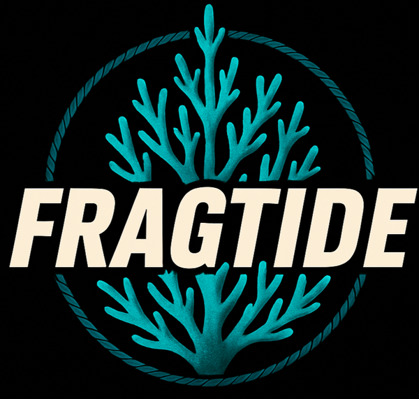 Fragtide